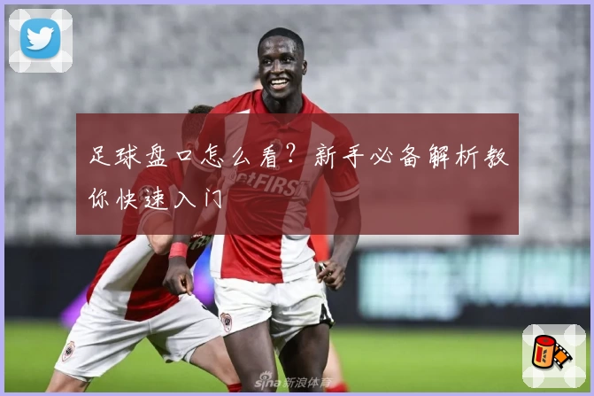 足球盘口怎么看？新手必备解析教你快速入门