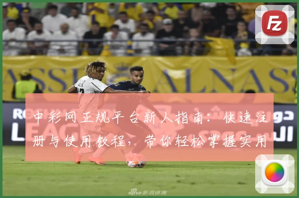 中彩网正规平台新人指南：快速注册与使用教程，带你轻松掌握实用功能亮点