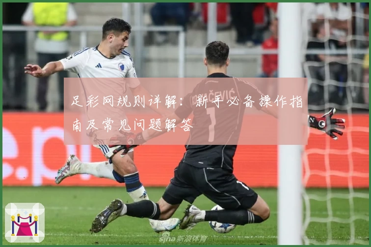 足彩网规则详解：新手必备操作指南及常见问题解答