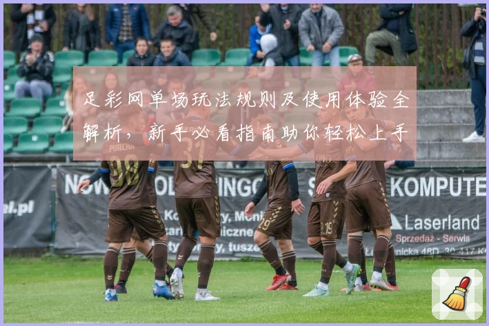 足彩网单场玩法规则及使用体验全解析，新手必看指南助你轻松上手