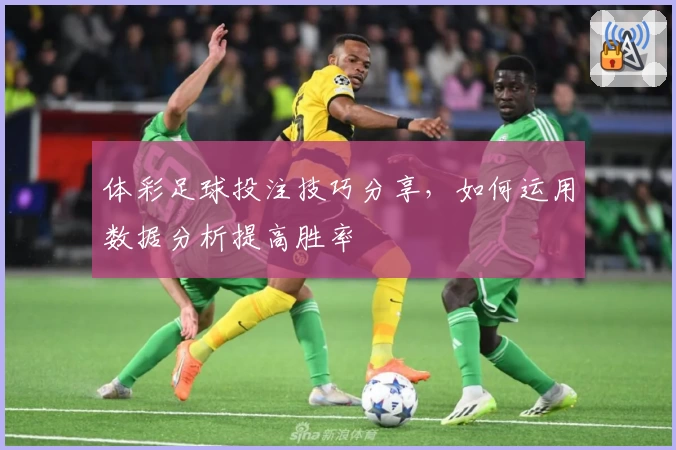 体彩足球投注技巧分享，如何运用数据分析提高胜率