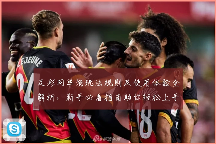 足彩网单场玩法规则及使用体验全解析，新手必看指南助你轻松上手
