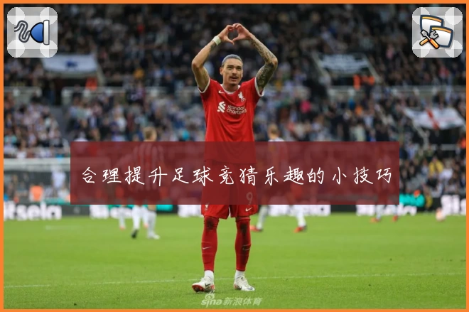 合理提升足球竞猜乐趣的小技巧
