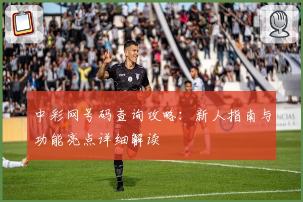 中彩网号码查询攻略：新人指南与功能亮点详细解读