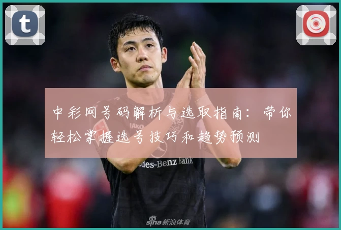 中彩网号码解析与选取指南：带你轻松掌握选号技巧和趋势预测